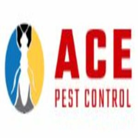 Ace Pest Control Sydney