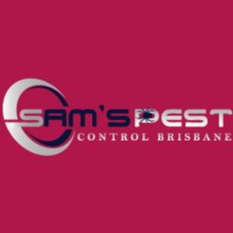 Cockroach Control Brisbane