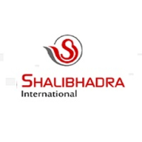 Brass inserts - Shalibhadra International