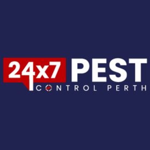 Best Flies Control Perth