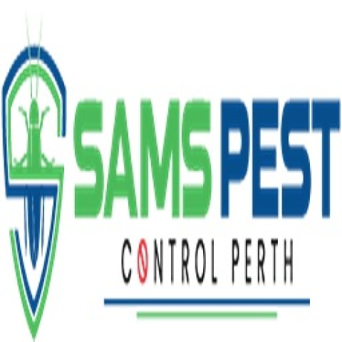 Mice Control In Perth