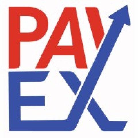 Global payEX