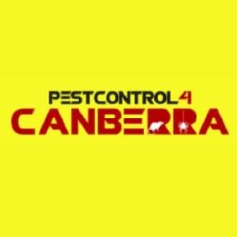 End of Lease Pest Control Treatment Canberra