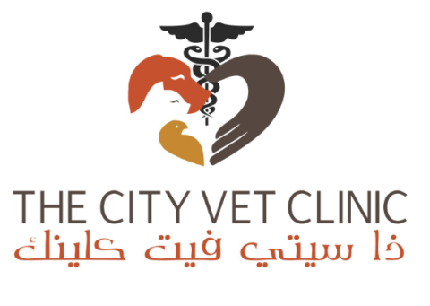 The City Vet Clinic Al Barsha Mall