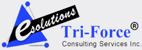 Tri-Force Consulting Services Inc.