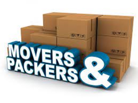 International Moving - Euro Movers and Packers in Vadodara