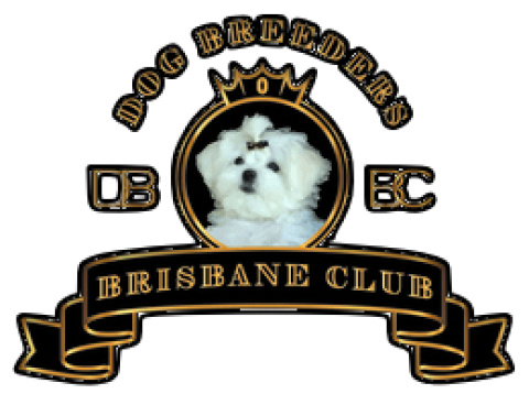 DOG BREEDERS BRISBANE CLUB