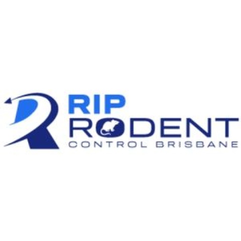 Rodent Treatment Brisbane