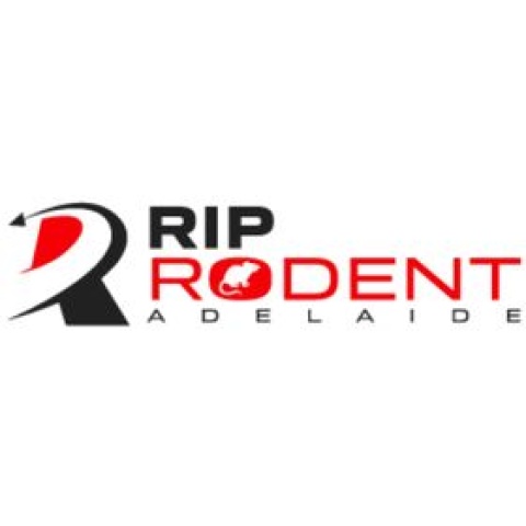 Rodent Pest Control Adelaide