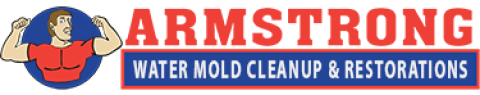 Armstrongwatermoldcleanup