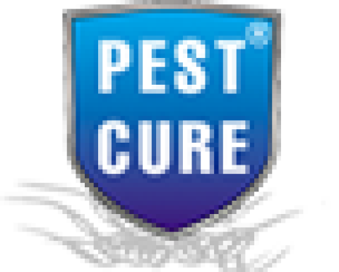 Pest Cure |  pest control services in Delhi