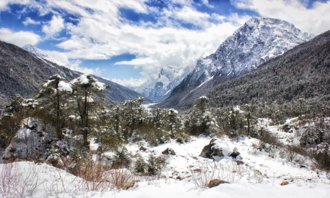 Book Amazing North Sikkim Package with NatureWings Ltd.