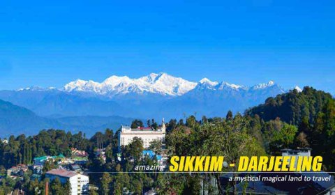 Amazing Sikkim Darjeeling Tour Package with Pelling from NatureWings - Best Price Guaranteed