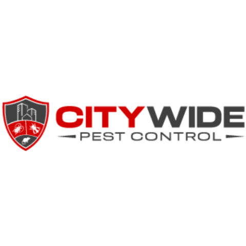 City Wide Wasp Removal Sydney
