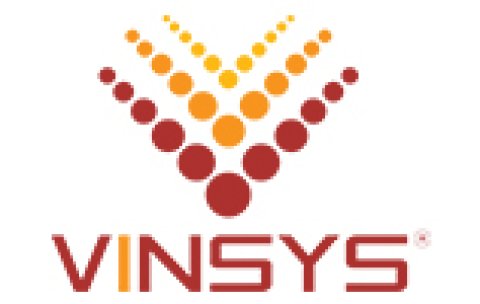 Ethical Hacking Certification Training - Vinsys