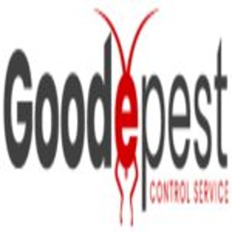 Goode Bed Bug Control Brisbane