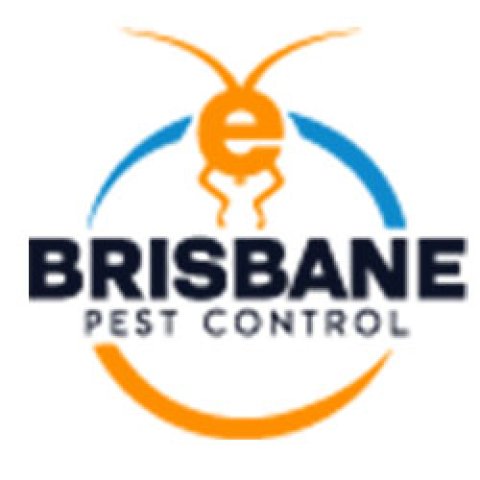E Cockroach Control Brisbane