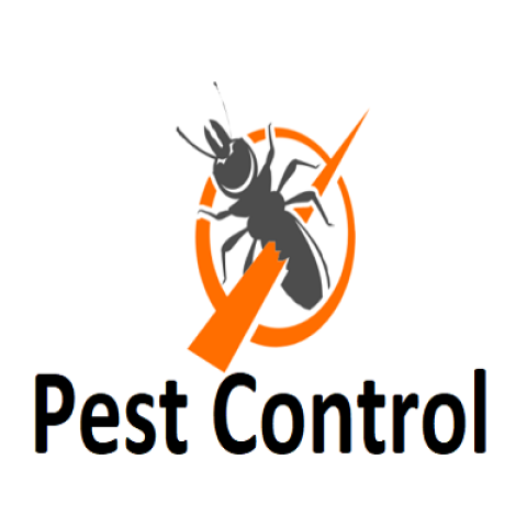 The West's Most Western Town Termite Removal Experts