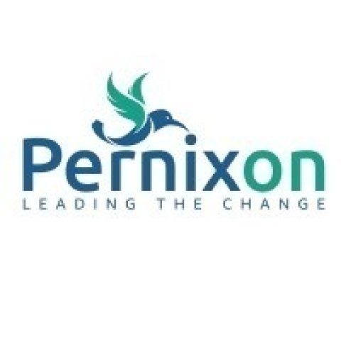 Pernixon Solutions