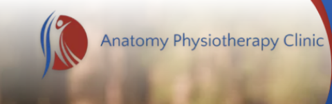 Anatomy Physiotherapy
