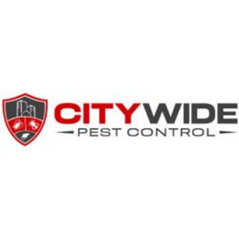 City Wide Pest Control Canberra