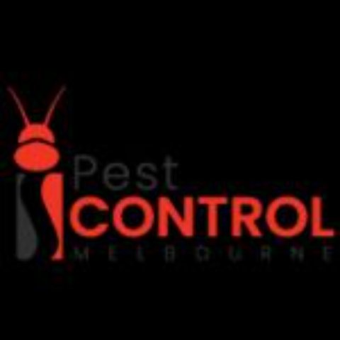 I Spider Control Melbourne