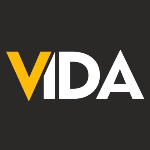 Vida - Best Digital Marketing Institute in Raipur