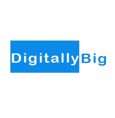 Creative Digital Marketing Agency Delhi | Digitally Big