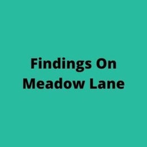 Findings On Meadow Lane