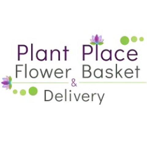 Plant Place Flower Basket & Delivery
