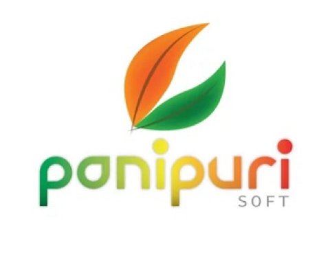 Mirror ERP - Panipuri Soft Limited