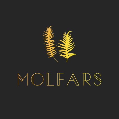 Molfars Mobile Health and Beauty