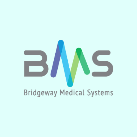Bridgeway Medical System