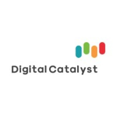 Digital Catalyst Group