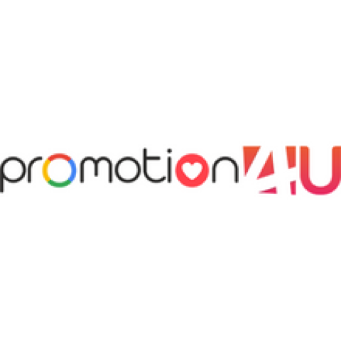 Promotion4u- Seo Company In Meerut