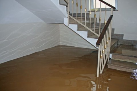 Flood Damage Restoration Northcote