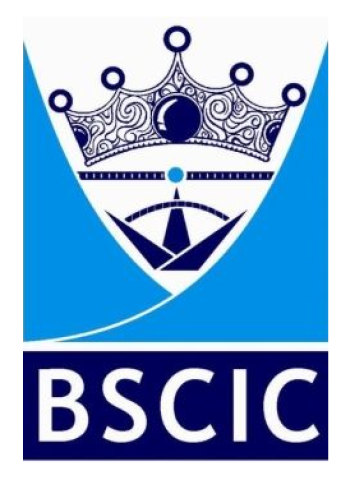 BSCIC Certifications Pvt. Ltd.