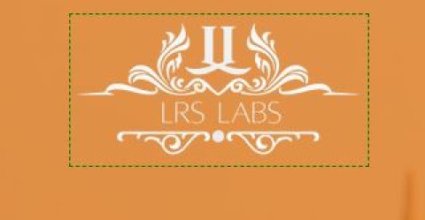 LRS Labs