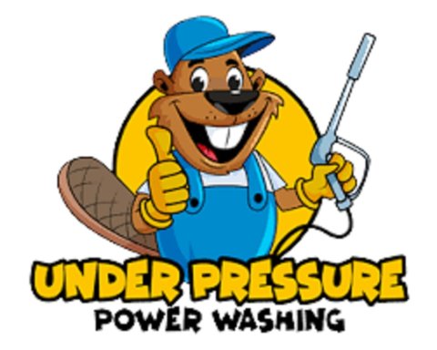 Under Pressure Power Washings Fl