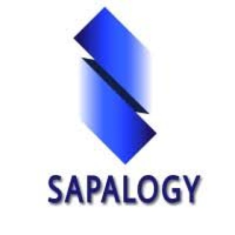 Sapalogy - Salesforce