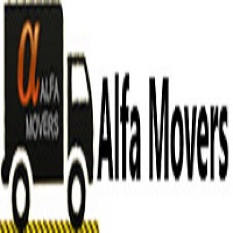 ALFA MOVERS LLC