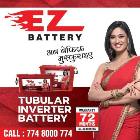 EZ inverter battery