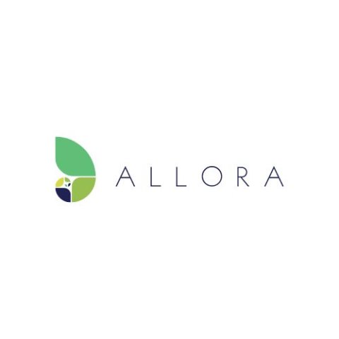 Allora Solutions Group