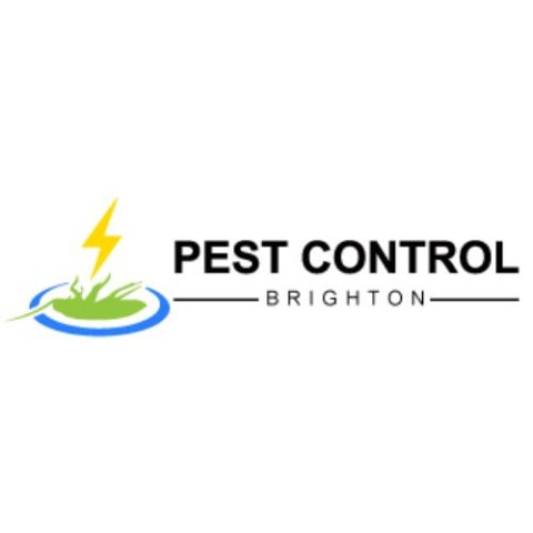 Pest Control Brighton