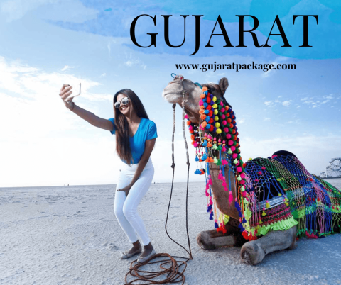 Exploring the Vibrant Culture of Gujarat: A Journey through Tradition and Festivities