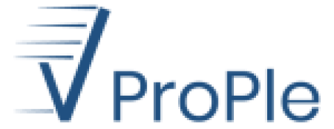 VProPle Solutions XXX.Ltd.