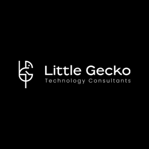 Little Gecko Technology