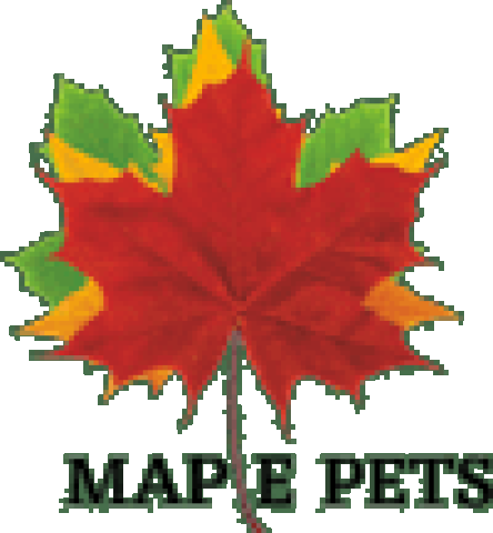 Fluval ProVac Dual Density Filter Pad &raquo; Maple Pets International Pvt Ltd