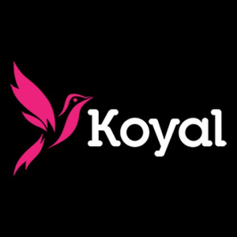 Koyal Pakistan Regional Songs Platform