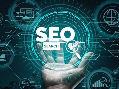 SEO Company in Delhi